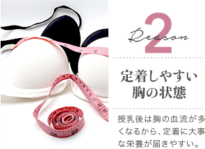 Reason 2 定着しやすい胸の状態