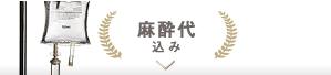 麻酔代込み