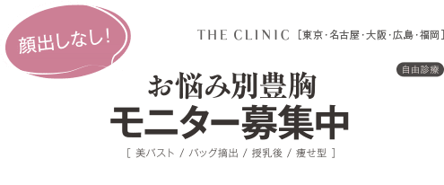 自由診療 THE CLINIC お悩み別豊胸 [美バスト / バッグ摘出 / 授乳後 / 痩せ型]