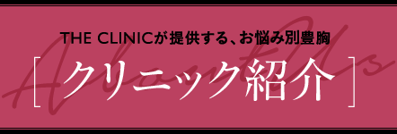 THE CLINICが提供する、お悩み別 豊胸 [ クリニック紹介 ]