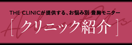 THE CLINICが提供する、お悩み別 豊胸モニター [ クリニック紹介 ]