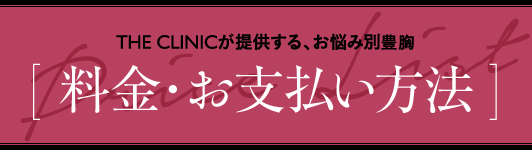 THE CLINICが提供する、お悩み別 豊胸 [ 料金・お支払い方法 ]