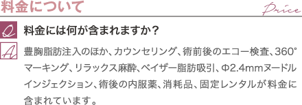 料金について | 料金には何が含まれますか？ / 豊胸脂肪注入のほか、カウンセリング、術前後のエコー検査、360°マーキング、リラックス麻酔、ベイザー脂肪吸引、φ2.4mmヌードルインジェクション、術後の内服薬、消耗品、固定レンタルが料金に含まれています。