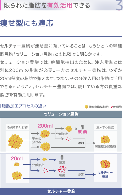 特徴3 限られた脂肪を有効活用できる | 痩せ型にも適用 | セルチャー豊胸が痩せ型に向いていることは、もうひとつの幹細胞豊胸「セリューション豊胸」との比較でも明らかです。セリューション豊胸では、幹細胞抽出のために、注入脂肪とは別に200mlの脂肪が必要。一方のセルチャー豊胸は、わずか20ml程度の脂肪で賄えます。つまり、その分注入用の脂肪に活用できるということ。セルチャー豊胸では、痩せている方の貴重な脂肪を有効活用します。