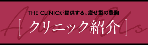 THE CLINICが提供する、痩せ型の豊胸 [ クリニック紹介 ]