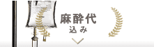 麻酔代込み